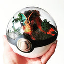 Another Town: Charizard