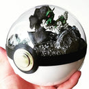 Another Town: Rayquaza