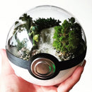 Another Town: Treecko